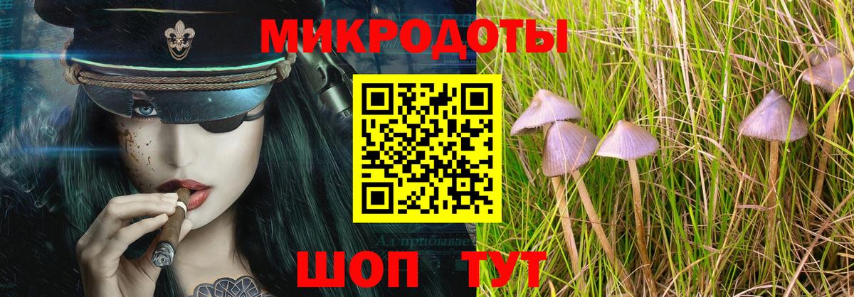 Галлюциногенные грибы Magic Shrooms  Галлюциногенные грибы мухоморы  Киреевск  Вход с VPN 